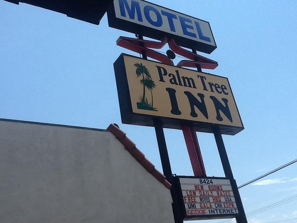 Palm Tree Inn