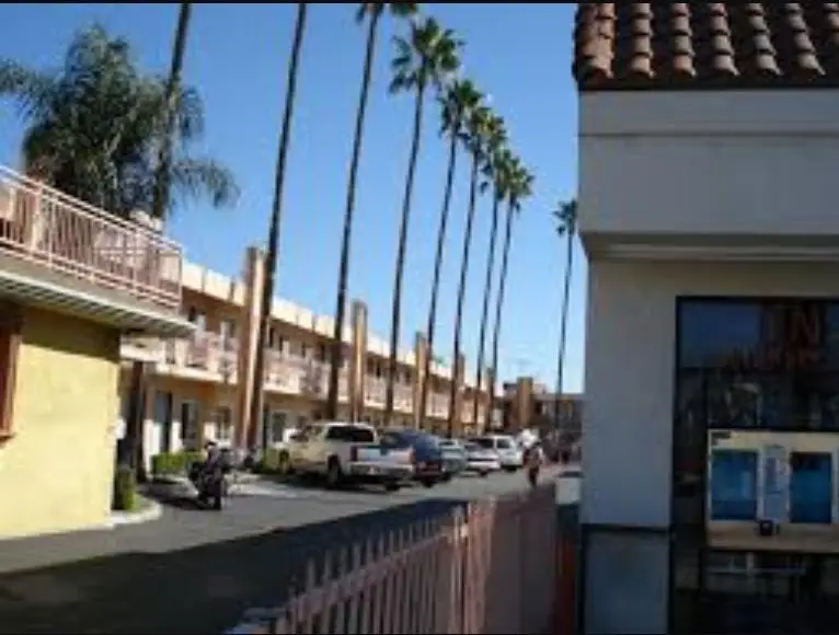 Palm Tree Inn 7